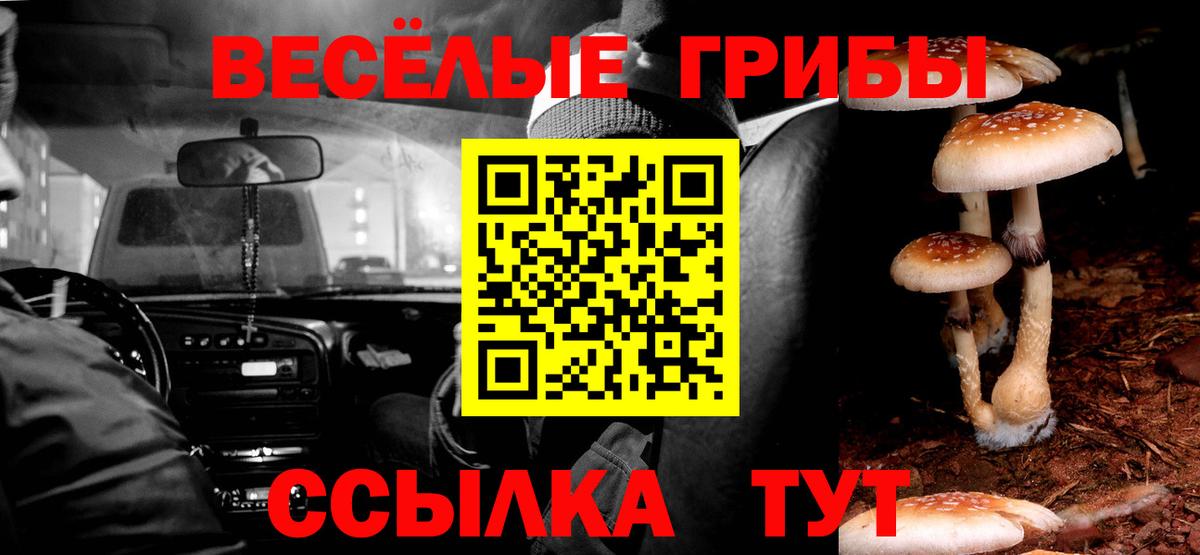 Галлюциногенные грибы GOLDEN TEACHER  Вход с VPN  Сосновоборск 