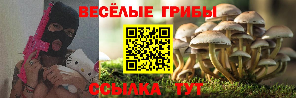 Галлюциногенные грибы мухоморы Сосновоборск